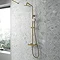 Venice Giro Brushed Brass Modern Thermostatic Shower Large Image