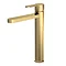 Venice Giro Brushed Brass Round High Rise Mono Basin Mixer Large Image