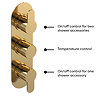 Venice Giro Triple Thermostatic Shower Valve with Diverter - Brushed Brass  Profile Large Image
