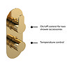 Venice Giro Twin Thermostatic Shower Valve with Diverter - Brushed Brass  Profile Large Image