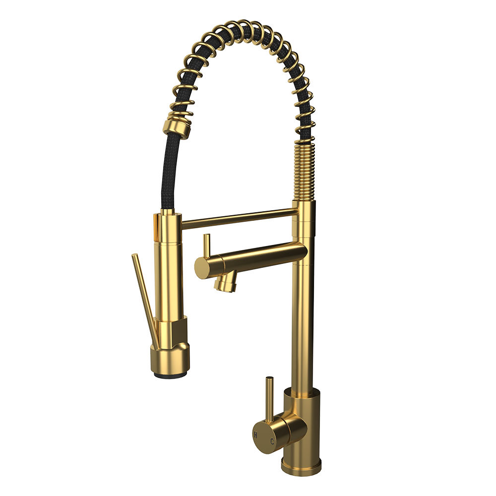 Venice Modern Kitchen Mixer Tap with Swivel Spout & Directional Spray Brushed Brass