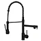 Venice Modern Kitchen Mixer Tap with Swivel Spout & Directional Spray - Matt Black Large Image