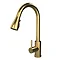 Venice Modern Kitchen Mixer Tap with Swivel Spout & Pull Out Spray - Brushed Brass Large Image