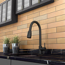Venice Modern Kitchen Mixer Tap with Swivel Spout & Pull Out Spray - Matt Black