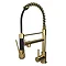 Venice Modern Kitchen Mixer Tap with Swivel Spout & Directional Spray - Brushed Brass Large Image