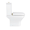 Venice Modern Toilet with Soft Close Seat (Brushed Brass Flush + Hinges)
