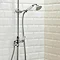 Victorian Grand Rigid Riser Kit Inc. Diverter + Swivel Standard Large Image