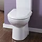 Vienna Soft Close Toilet Seat  Profile Large Image