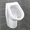 Villeroy and Boch Architectura Siphonic Urinal with Concealed Water Inlet - 55740001 Large Image