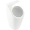 Villeroy and Boch Architectura Siphonic Urinal with Concealed Water Inlet - 55860001 Feature Large