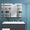 Villeroy and Boch H746 x W807mm My View One LED Illuminated Mirror Cabinet - A439G800  Profile Large