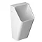 Vitra - S20 Model Syphonic Urinal (back water inlet) - 3 Options  Feature Large Image