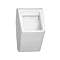 Vitra - S50 Model Projects Urinal - 5330WH Large Image