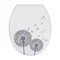 Wenko Astera Soft Close Toilet Seat - 22409100 Large Image