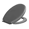 Wenko - Forano Thermoplastic Soft-Touch Coating Soft-Close Toilet Seat - Grey - 20595100 Profile Large Image