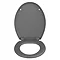 Wenko - Forano Thermoplastic Soft-Touch Coating Soft-Close Toilet Seat - Grey - 20595100 Feature Large Image