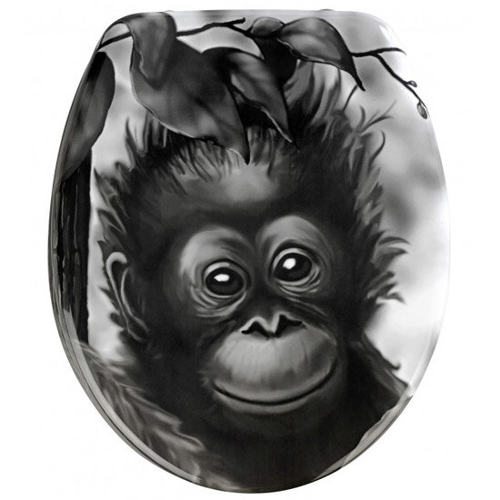 Wenko Monkey Duroplast Toilet Seat - 18796100 Large Image