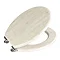 Wenko Oak Grey MDF Soft Close Toilet Seat Feature Large Image