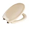 Wenko Ottana Premium Soft Close Toilet Seat - Beige - 18760100 Feature Large Image