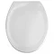 Wenko Ottana Premium Soft Close Toilet Seat - Grey - 19660100 Large Image