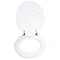 Wenko - Polar Bear 3D Design MDF Toilet Seat - 19691100 Feature Large Image