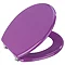 Wenko Prima MDF Toilet Seat - Purple - 152285100 Feature Large Image