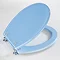 Wenko Topic Hand-made Polyresin Toilet Seat - Blue - 18927100 Feature Large Image