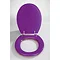 Wenko Topic Hand-made Polyresin Toilet Seat - Purple - 18930100 Profile Large Image