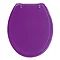 Wenko Topic Hand-made Polyresin Toilet Seat - Purple - 18930100 Large Image