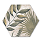 Willowbrook Botanic Hexagon Wall and Floor Tiles - 225 x 259mm