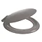 Wiquin Celmac Heavy Duty Double Flap Toilet Seat - Grey Large Image