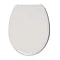 Wirquin Melody Lock+ Toilet Seat with Stainless Steel Hinges  Feature Large Image