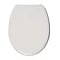 Wirquin Melody Lock+ Toilet Seat with Stainless Steel Hinges Feature Large Image