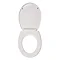Wirquin Melody Lock+ Toilet Seat with Stainless Steel Hinges  In Bathroom Large Image