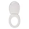 Wirquin Melody Lock+ Toilet Seat with Stainless Steel Hinges In Bathroom Large Image