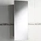 Ultra Yesenia Mirrored Cabinet - LQ356 Large Image