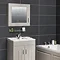 York Grey Bathroom Cabinet with Mirror - 600mm  Profile Large Image