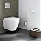 Zack Atore Wall Mounted Toilet Brush - Stainless Steel - 40416  Profile Large Image